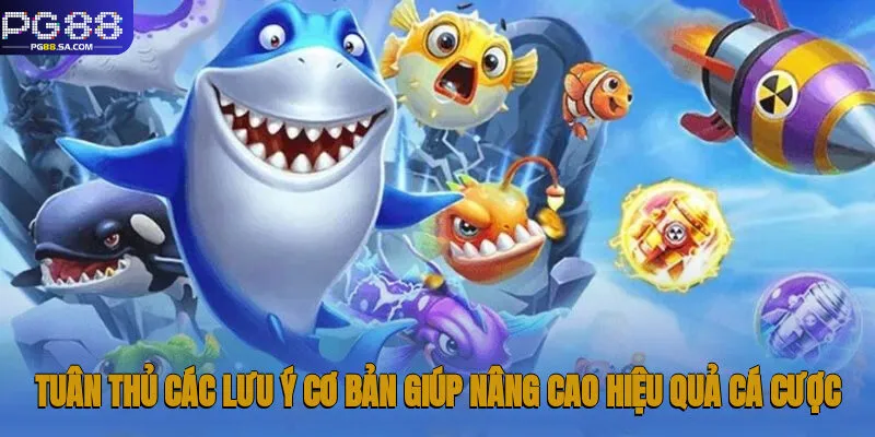 Tuân thủ các lưu ý cơ bản giúp nâng cao hiệu quả cá cược